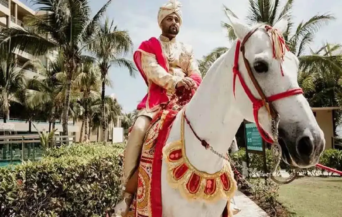 Groom, Bulandshahr News