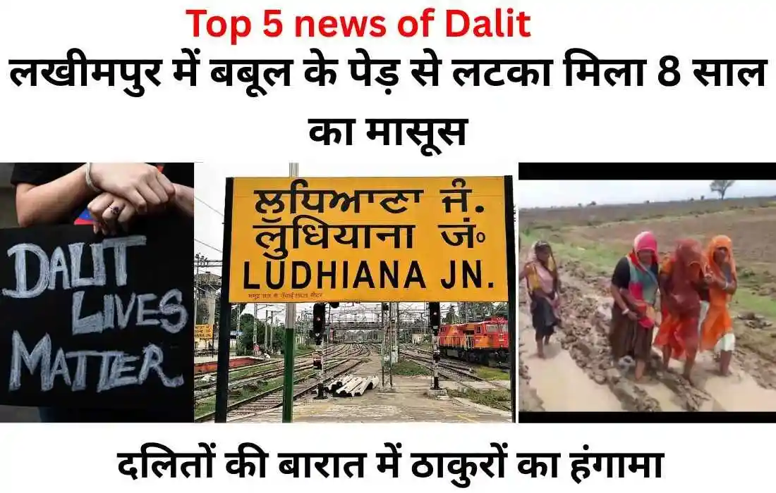 Top 5 dalit news