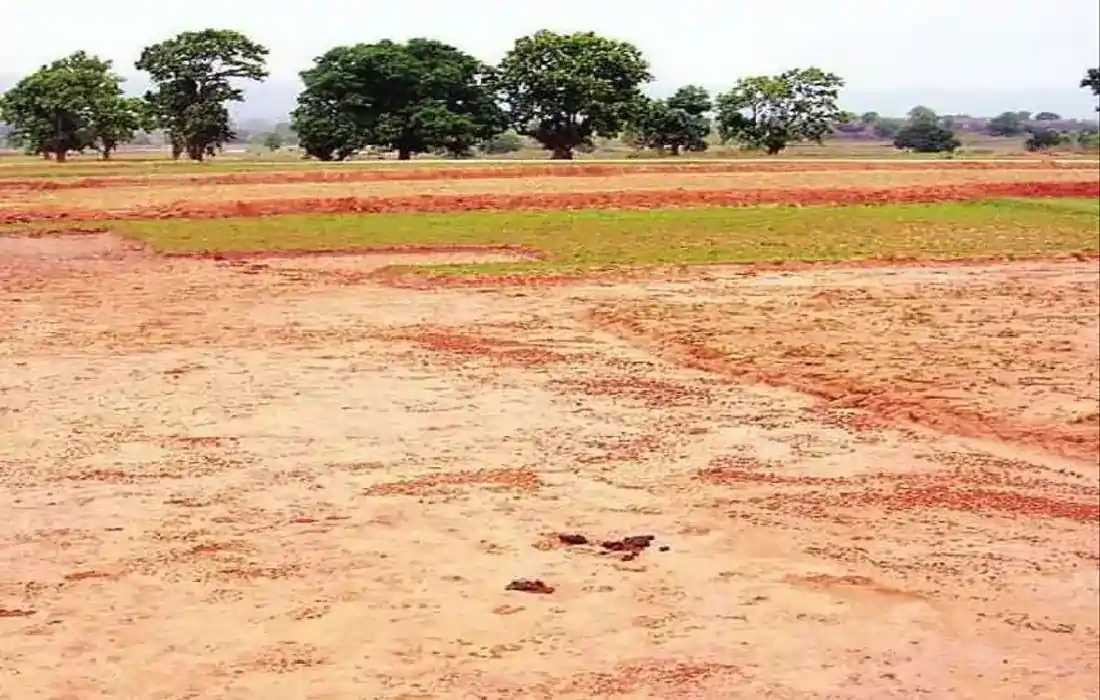 Dalit land fraudulently occupied, Basti news