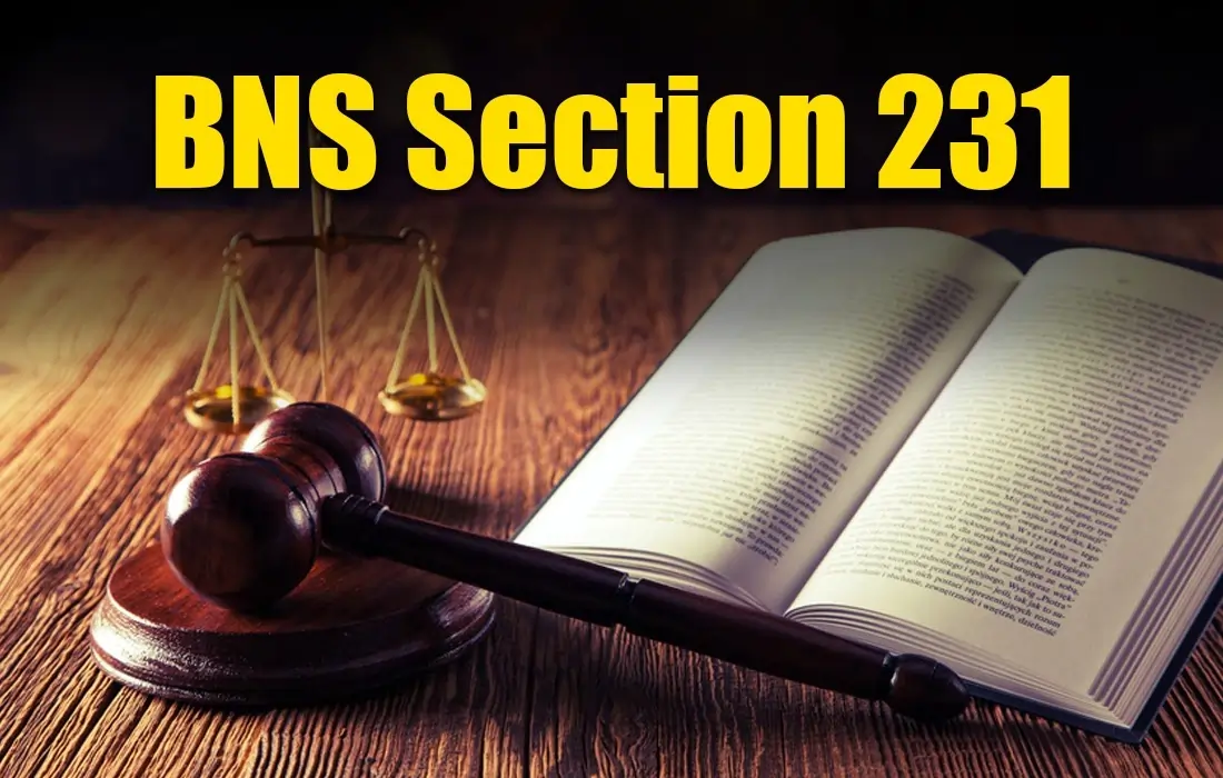 BNS Section 231, BNS Section 231 in Hindi