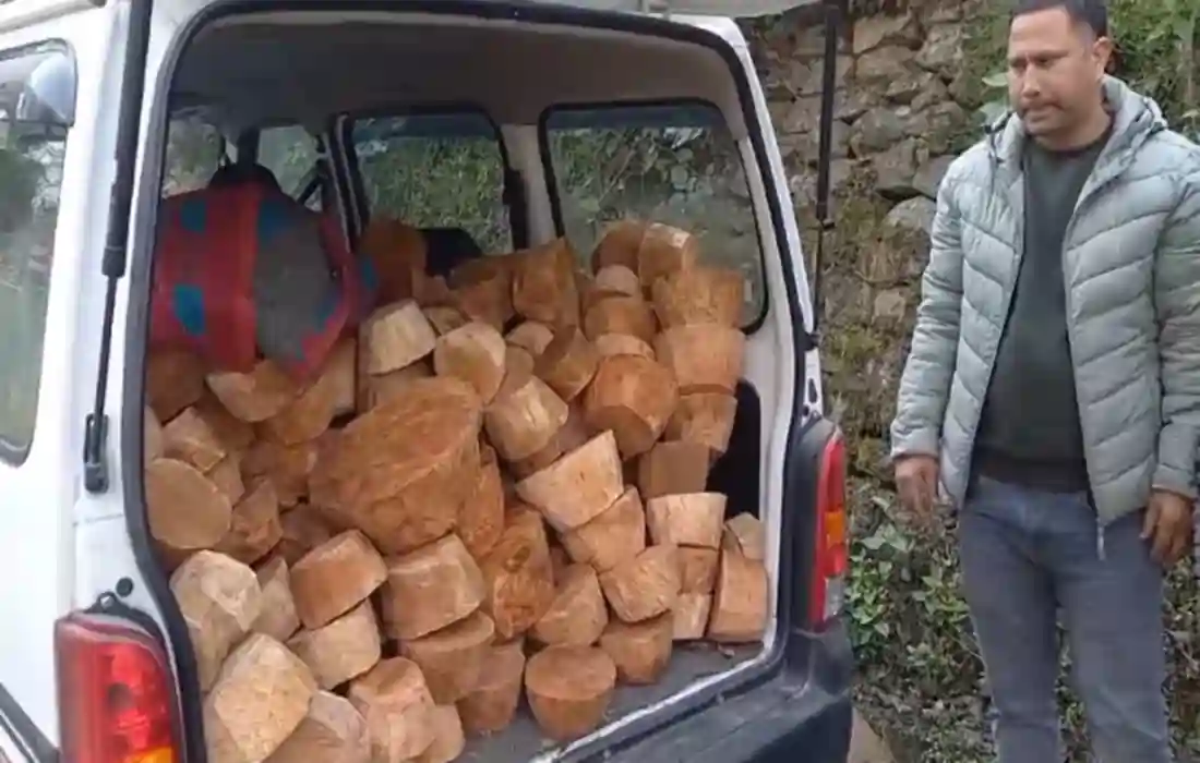 Kajal Kath Wood, Buddhism Precious Wood