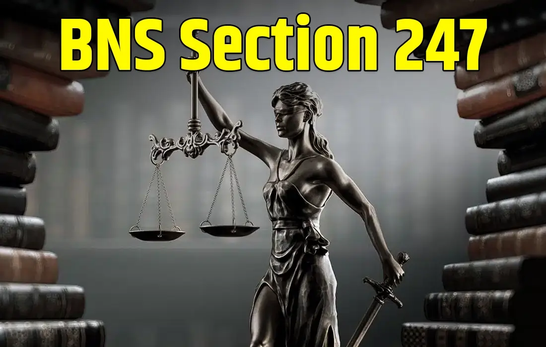 BNS Section 247, BNS Section 247 in Hindi