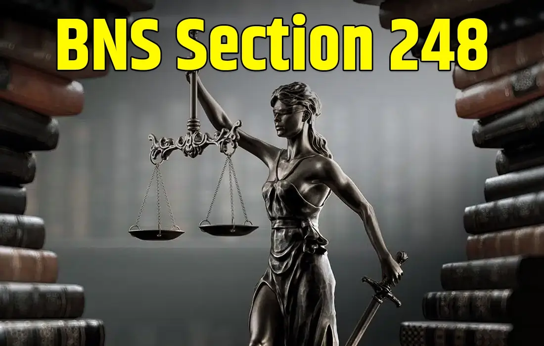 BNS Section 248, BNS Section 248 in Hindi