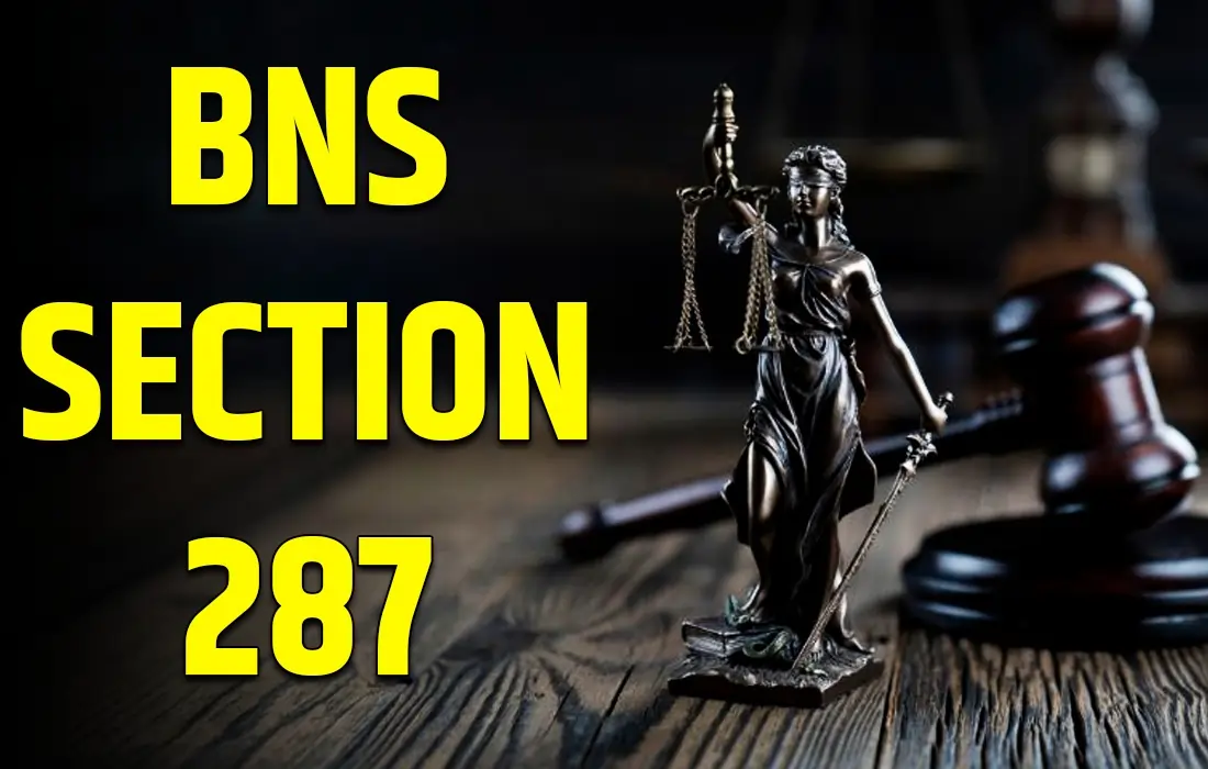 BNS Section 287, BNS Section 287 in Hindi