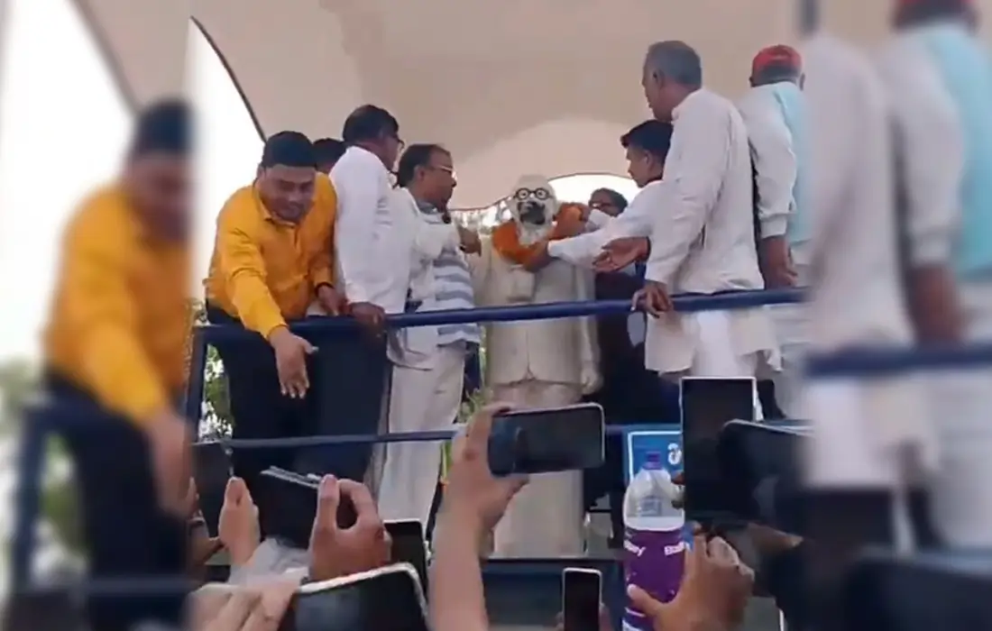 Top 5 Dalit News, Top 5 Dalit News in hindi