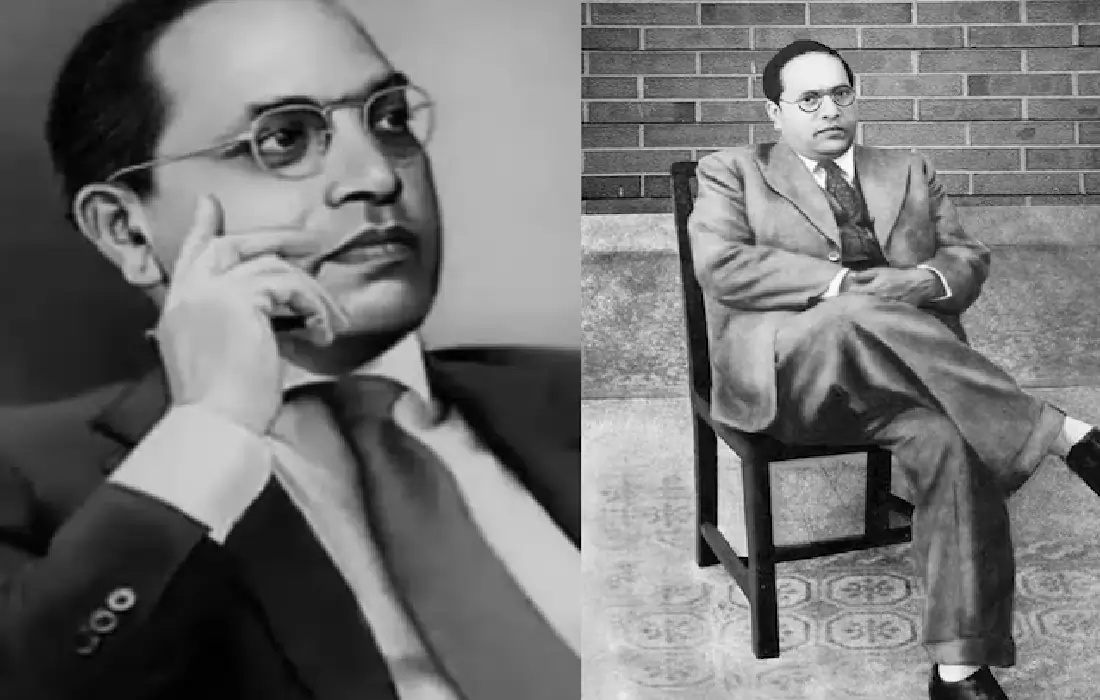 Ambedkar's Dhamma, Ambedkar knowns Langauge
